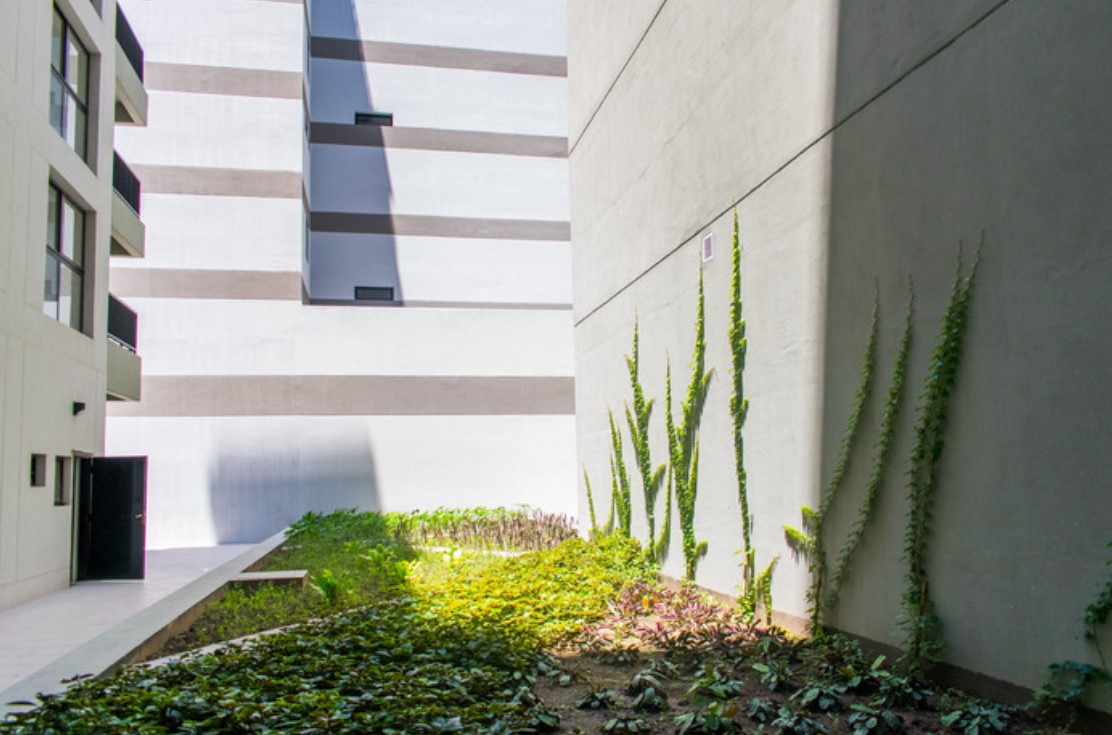 Así son los departamentos del Barrio Olímpico por dentro