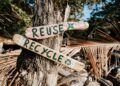 Medioambiente e innovación: la fabricación de biocuero