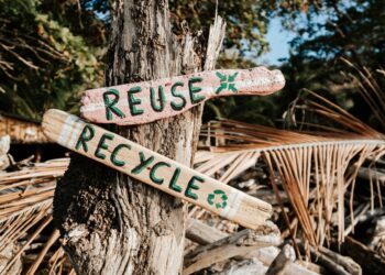 Medioambiente e innovación: la fabricación de biocuero